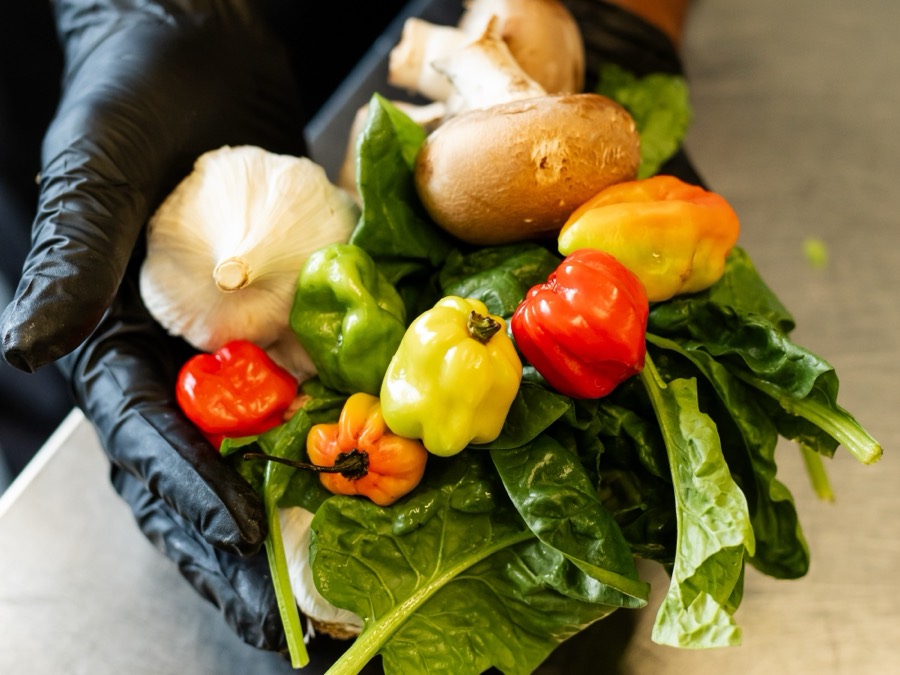 Gloved hands holding fresh garlic, mushrooms, peppers, scotch bonnets and spinach
